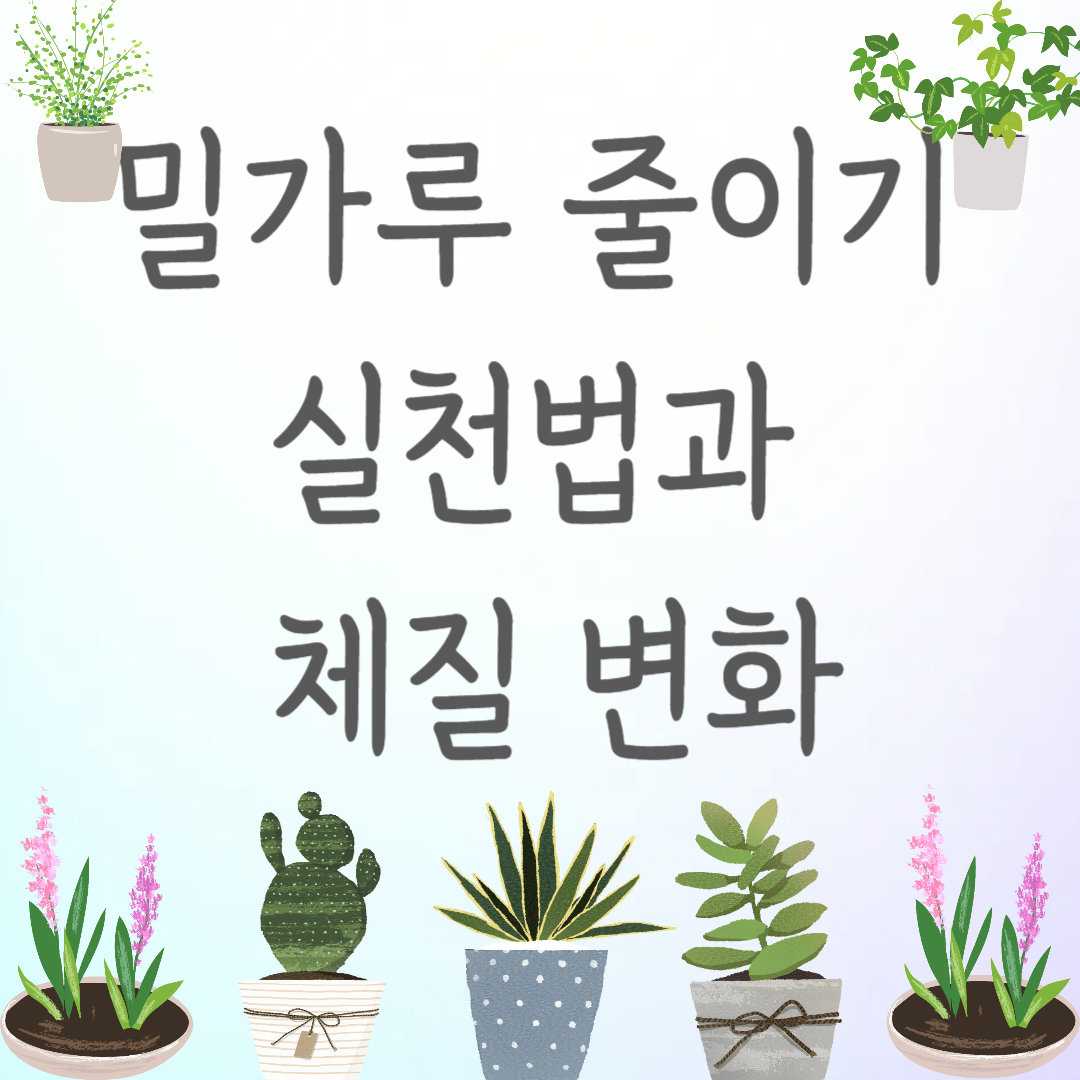 밀가루 줄이기 실천법과 체질 변화
