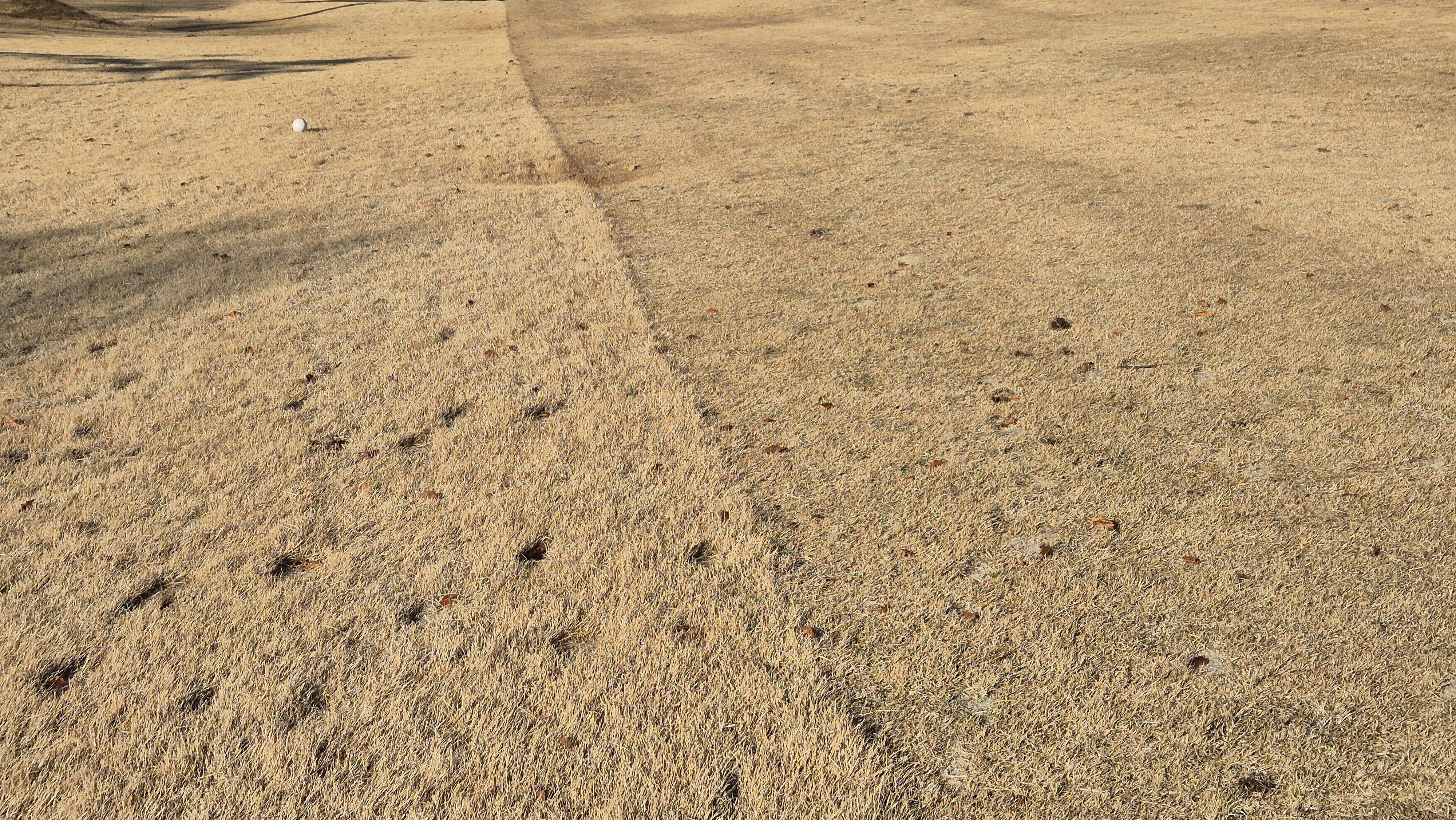 88cc 서코스 라운드 코스관리상태