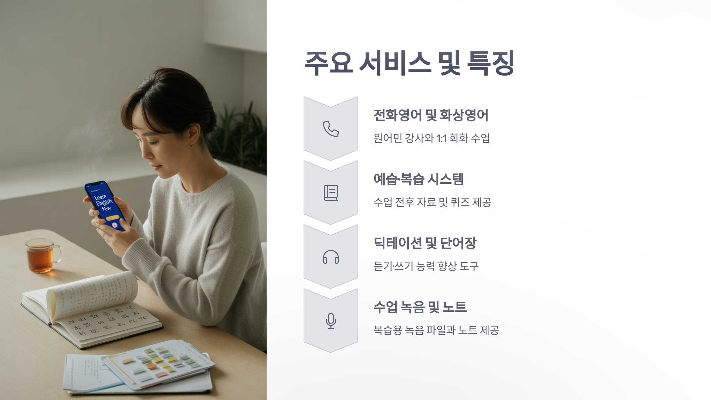 참조-엔토-영어-3