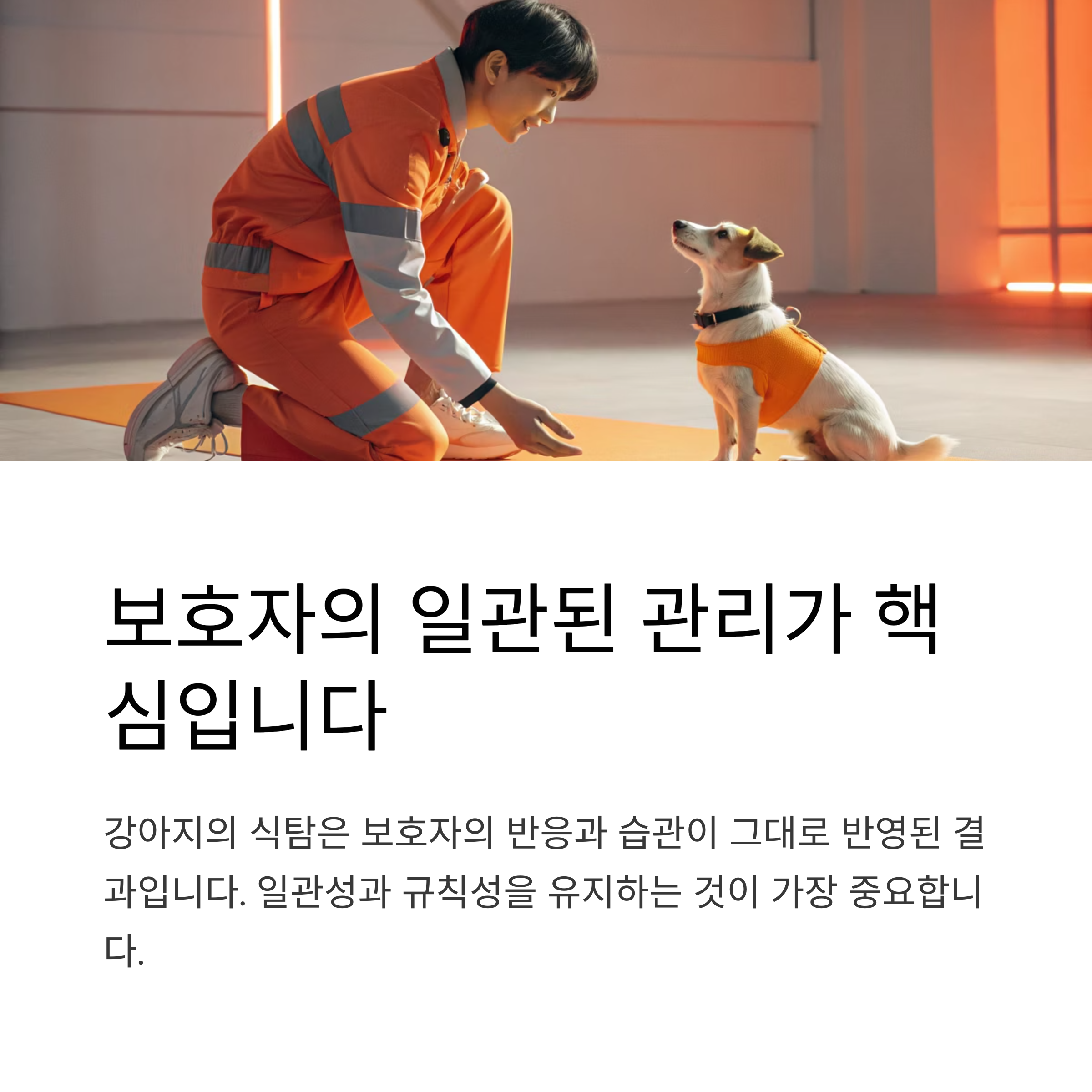 보호자의 일관된 관리가 핵심입니다