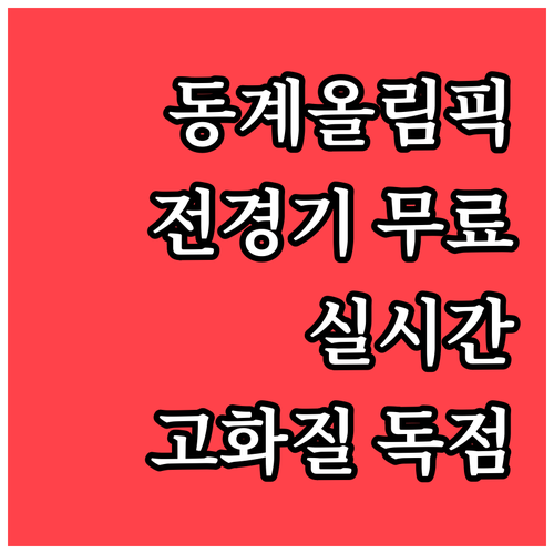 동계올림픽 실시간 스트리밍과 고화질 ..
