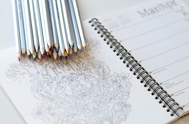 출처 unsplash 제공/ 컬러링북과 색연필 사진