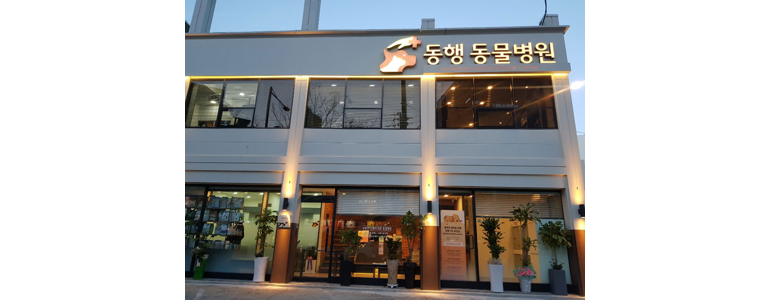 광주 북구 동물병원