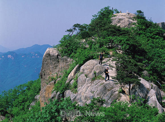 대야산 등산코스 지도