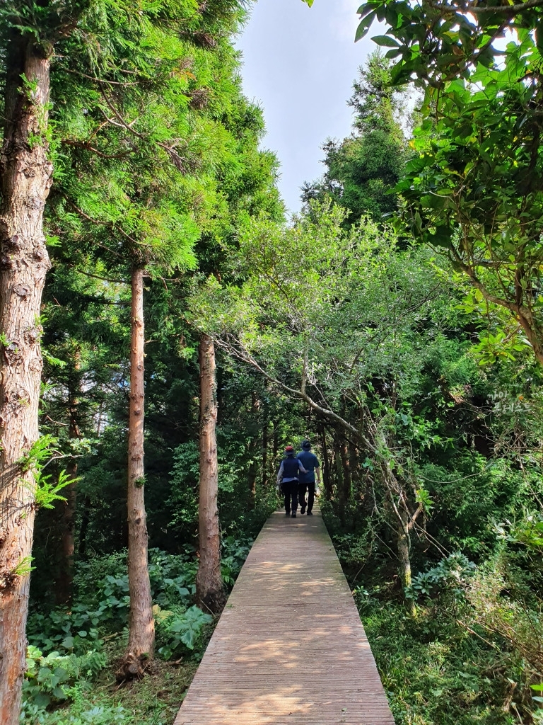 거문오름 탐방로