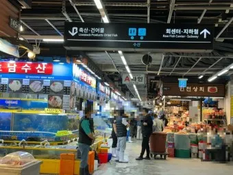 가락시장 맛집 회센터 수산시장 꽃게_12