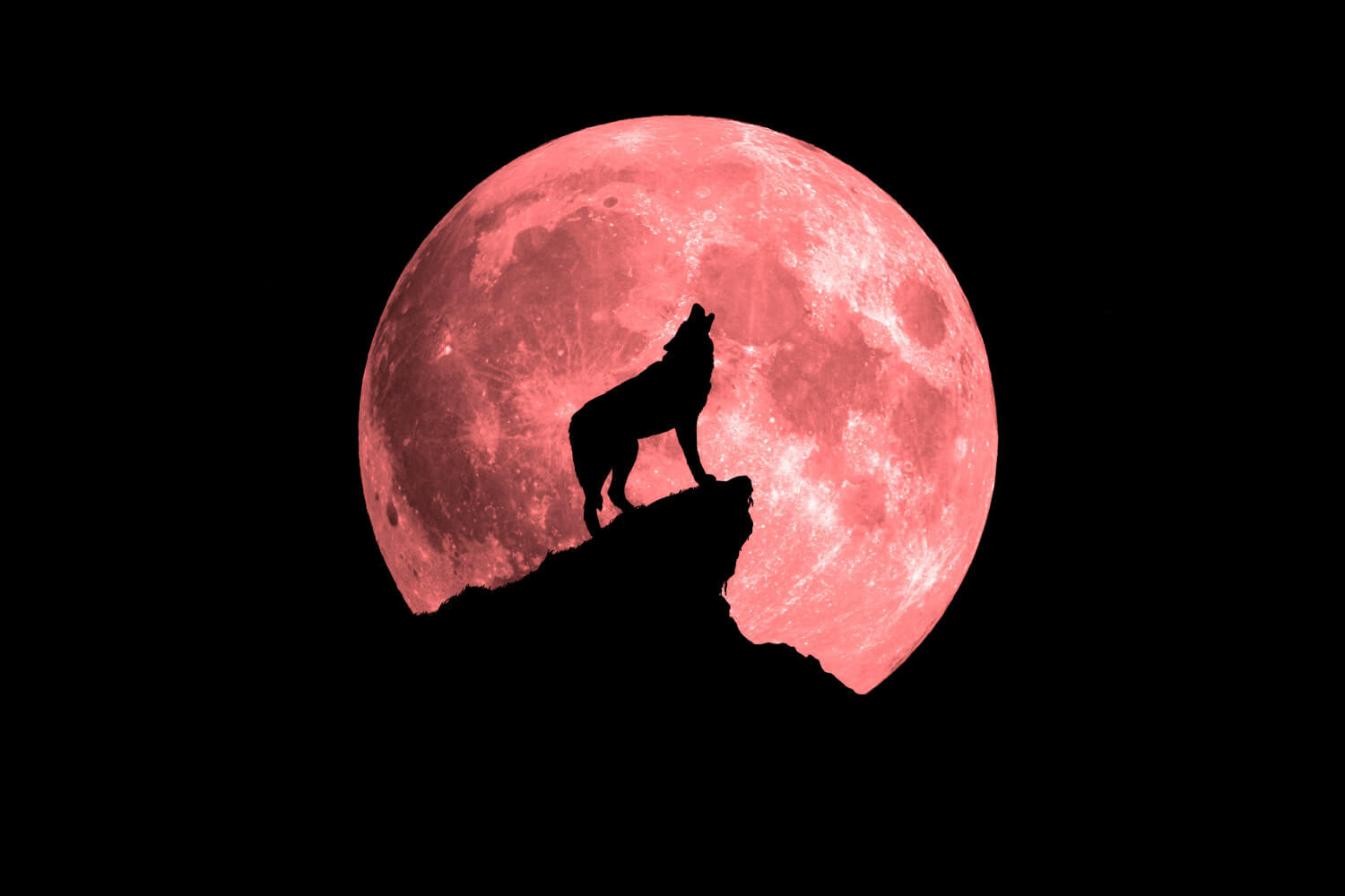 개기월식 블러드문