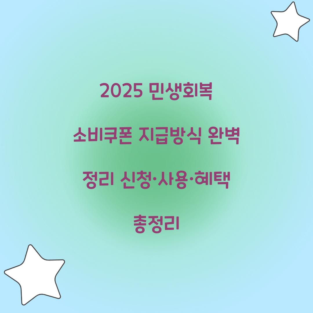 2025 민생회복 소비쿠폰 지급방식