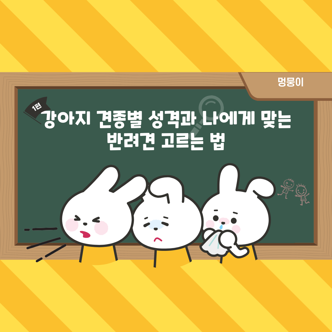 강아지 견종별 성격과 나에게 맞는 반려견 고르는 법