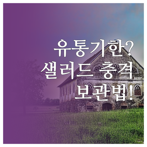 유통기한 지난 샐러드 언제까지 먹을 ..