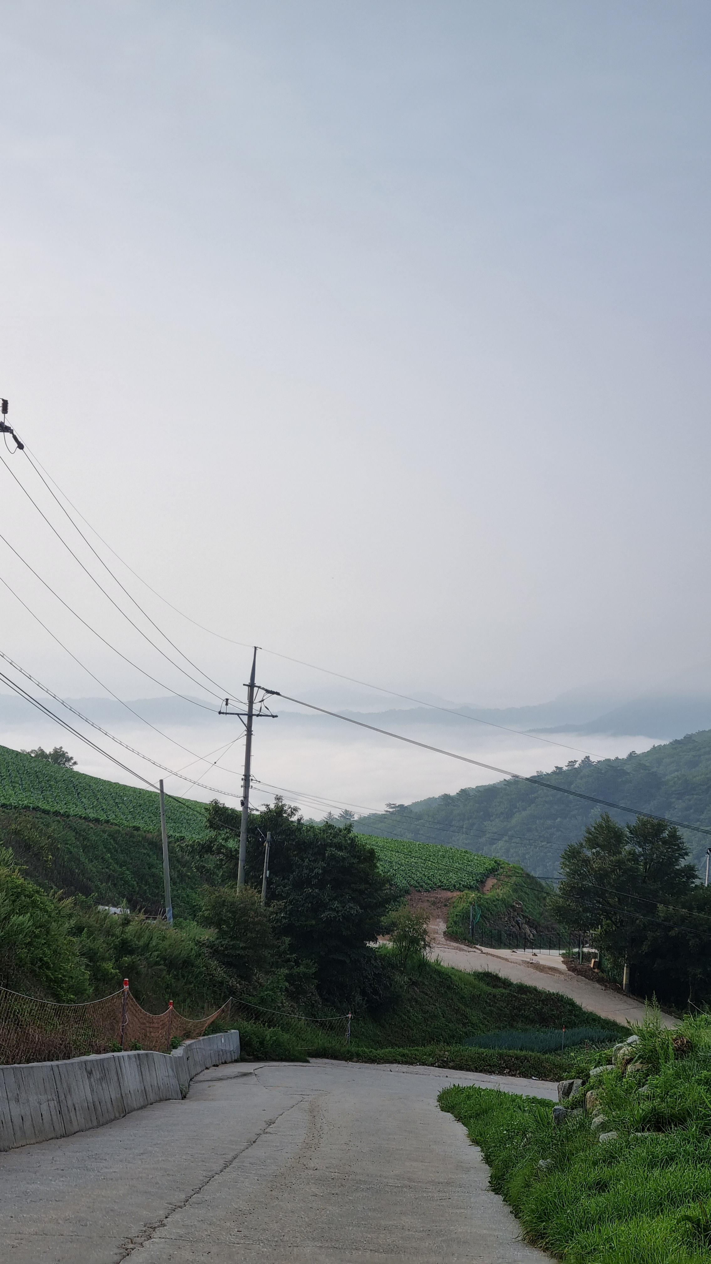 새벽의_안반데기