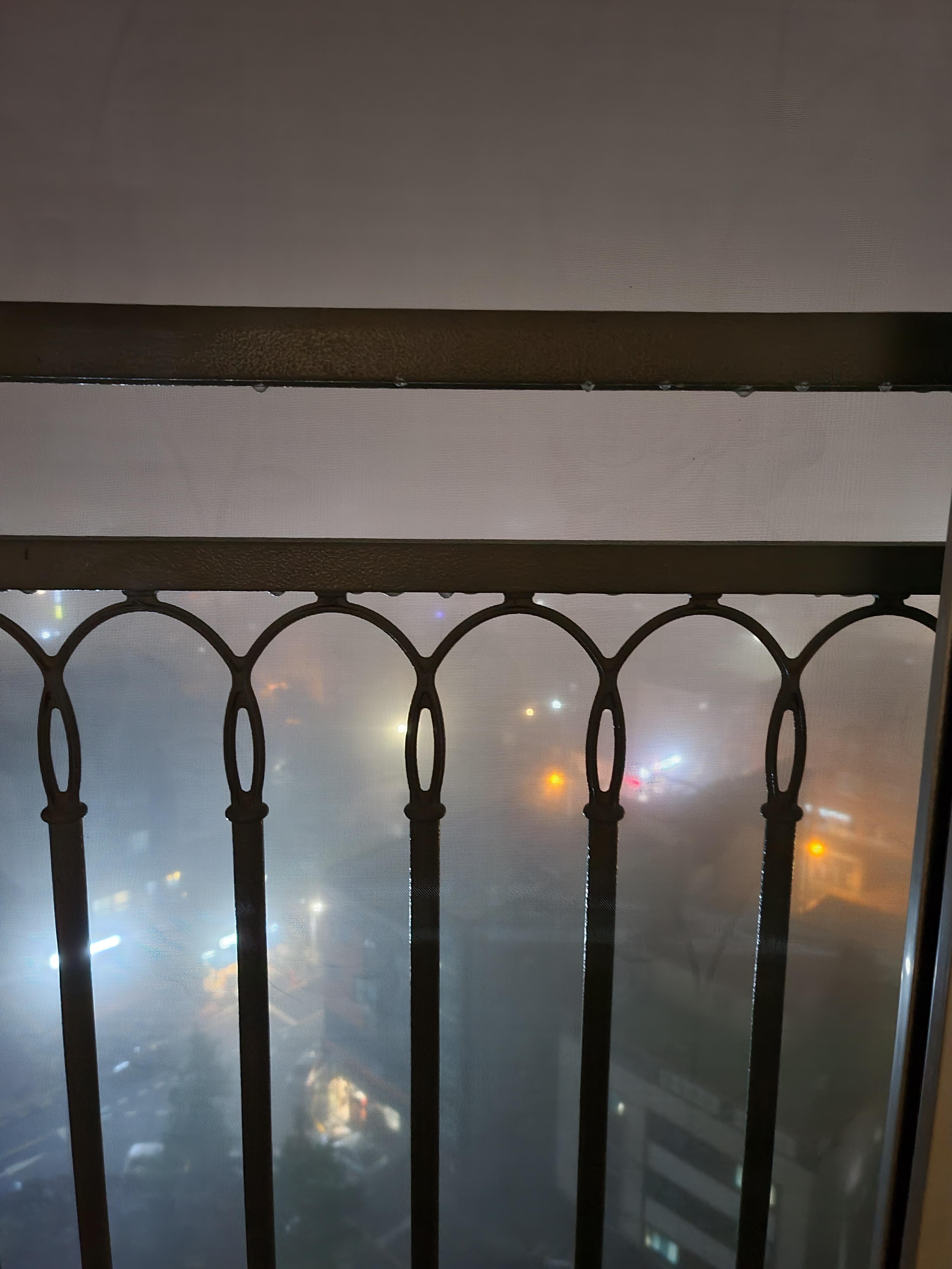 실시간. 밤안개 구경하는 올블랙 고양이 건이와 나.