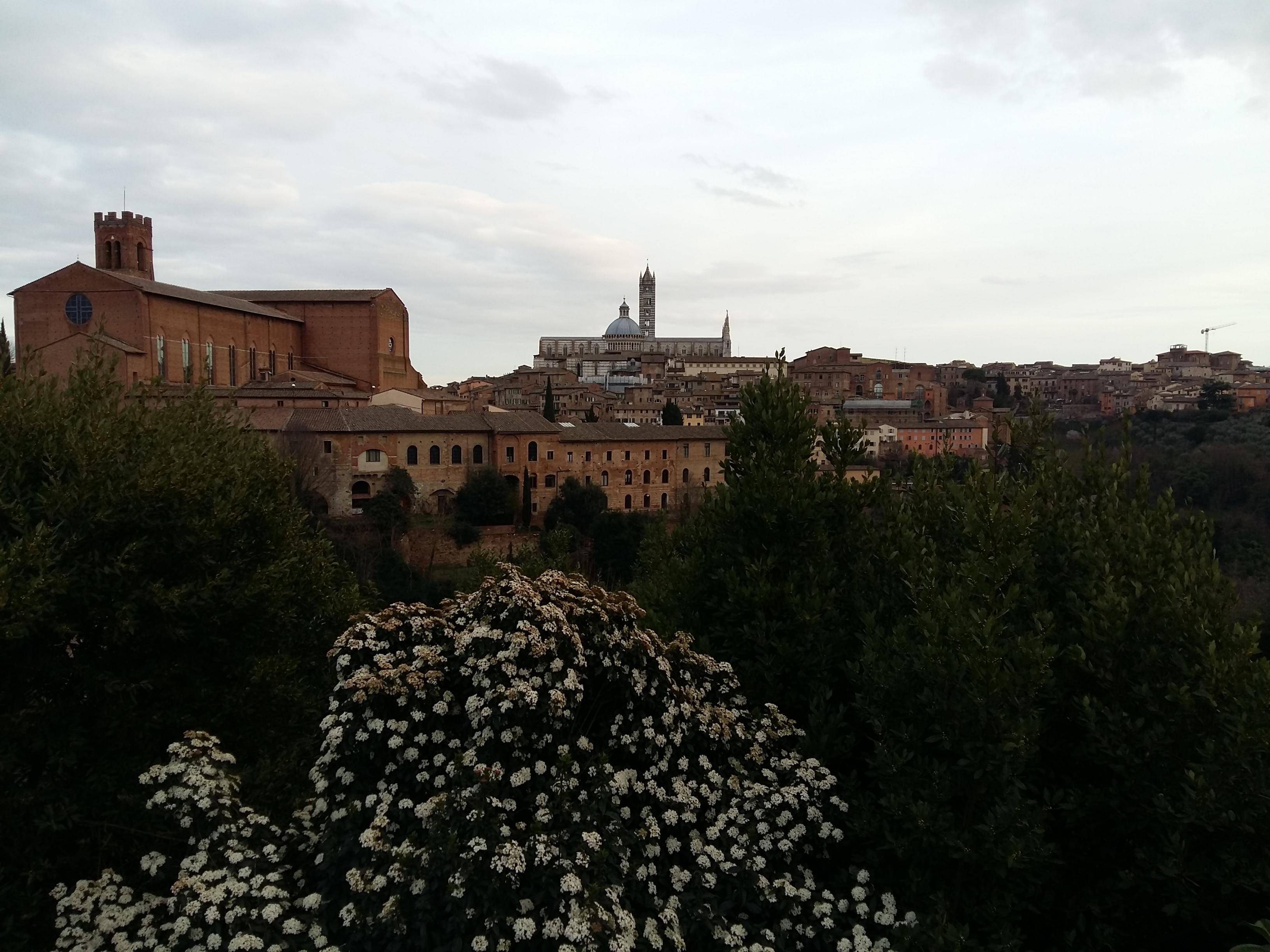 이탈리아 시에나 대성당과 캄포 광장 그리고 산 도메니코 성당을 한 눈에