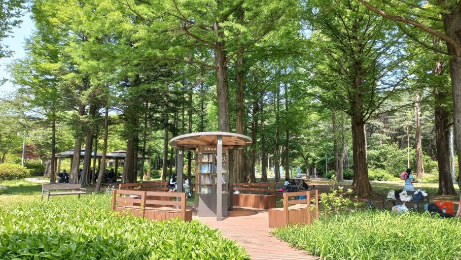 서울 양재시민의숲 매헌쉼터의 나무숲 속 작은 야외 도서관과 벤치, 피크닉을 즐기는 사람들