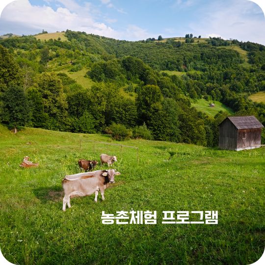 농촌체험 프로그램 선착순 예약하기