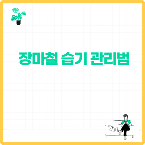 장마철 습기 관리법