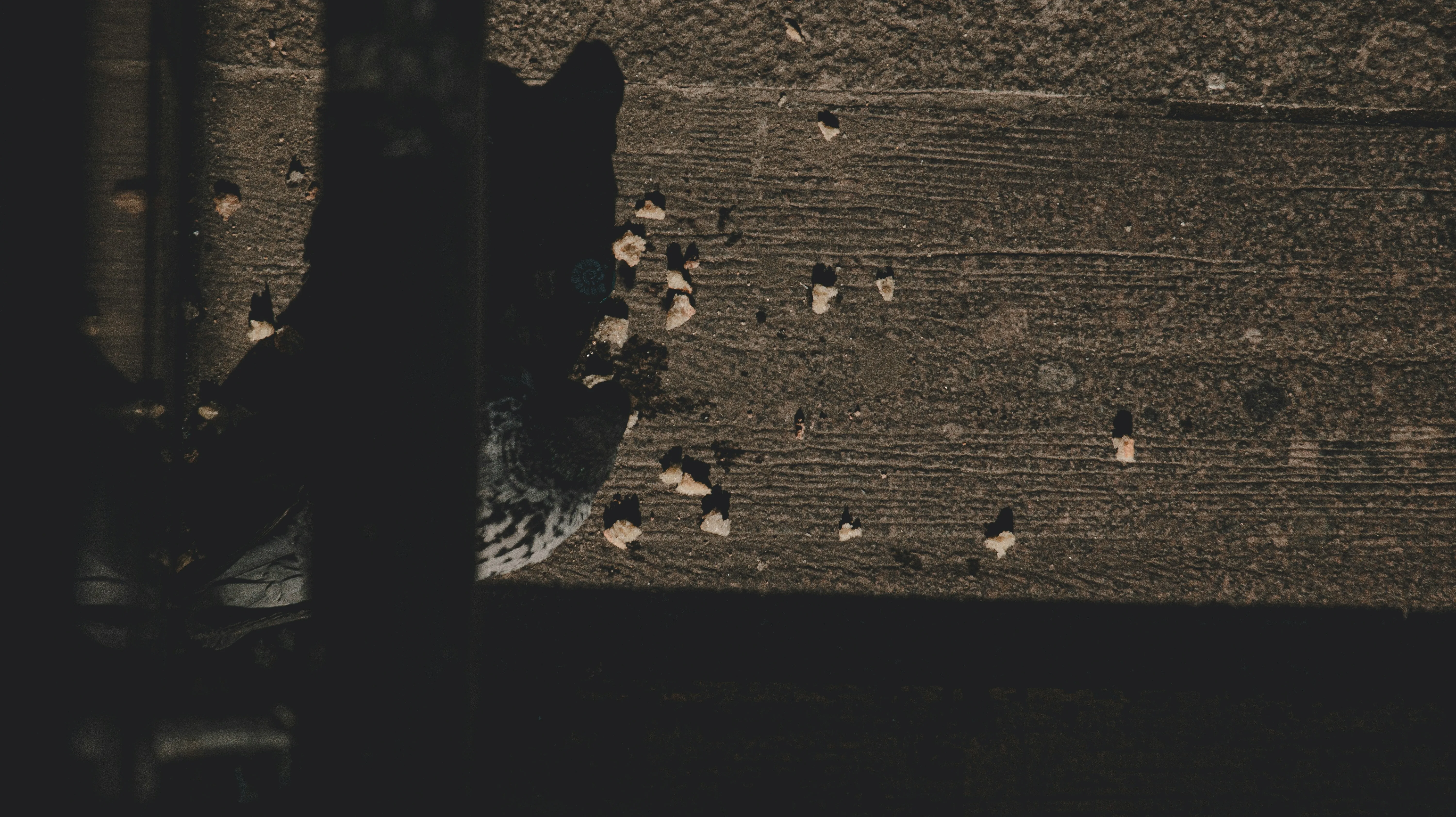 메가커피 과징금 23억 핵심 정리