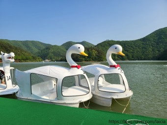 오리배 사진