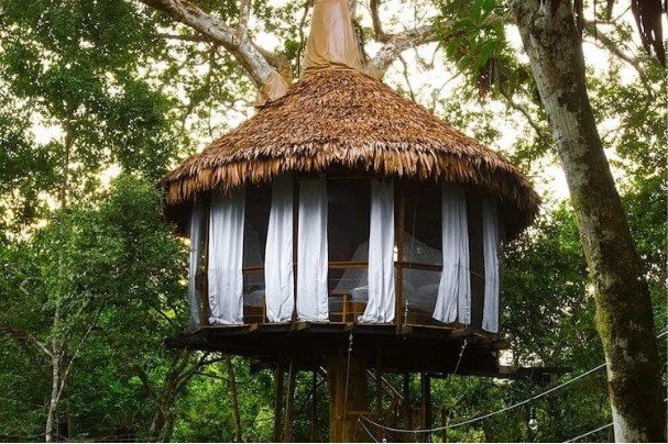 페루-트리하우스-롯지