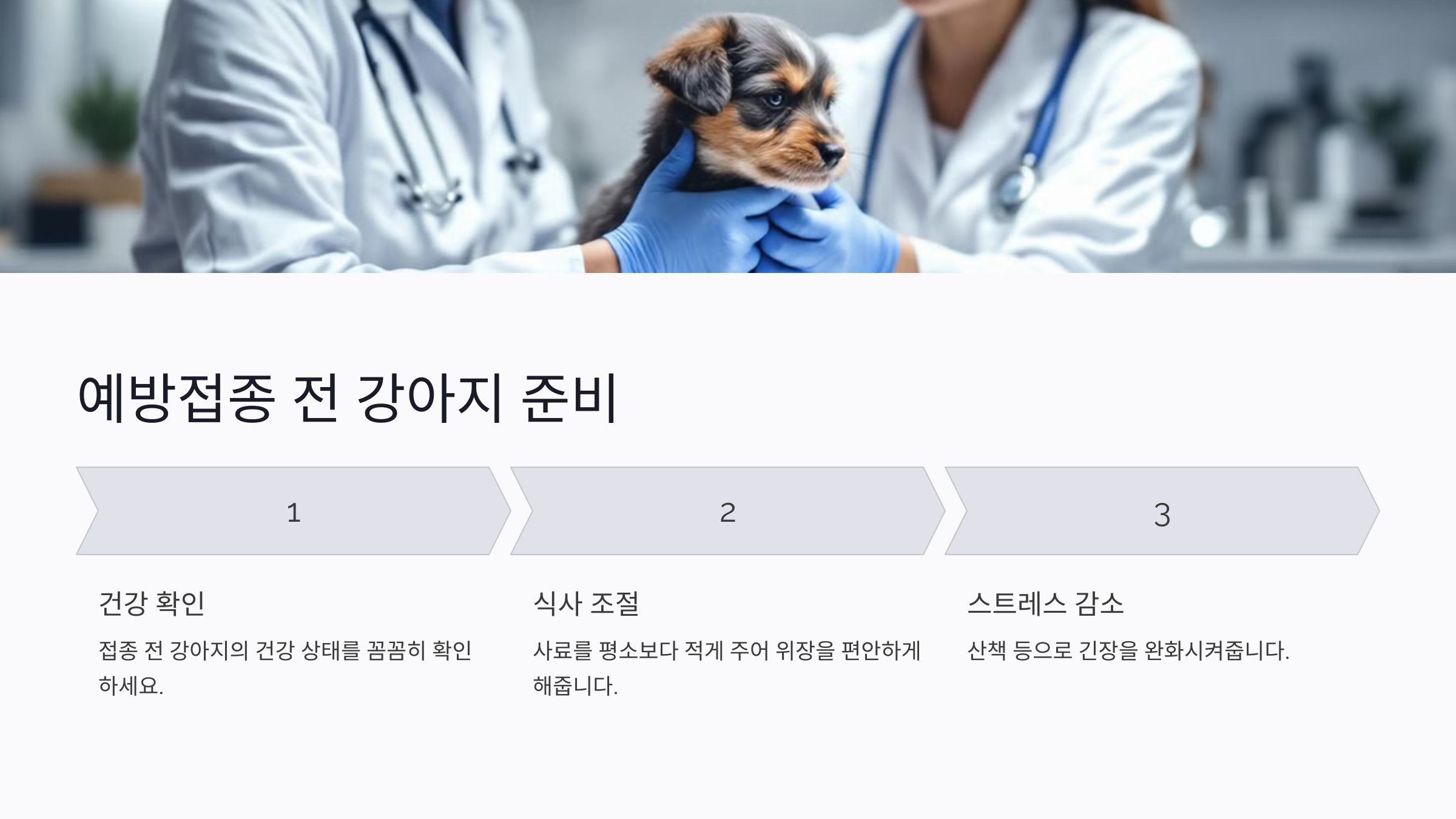 예방접종 전 강아지 준비