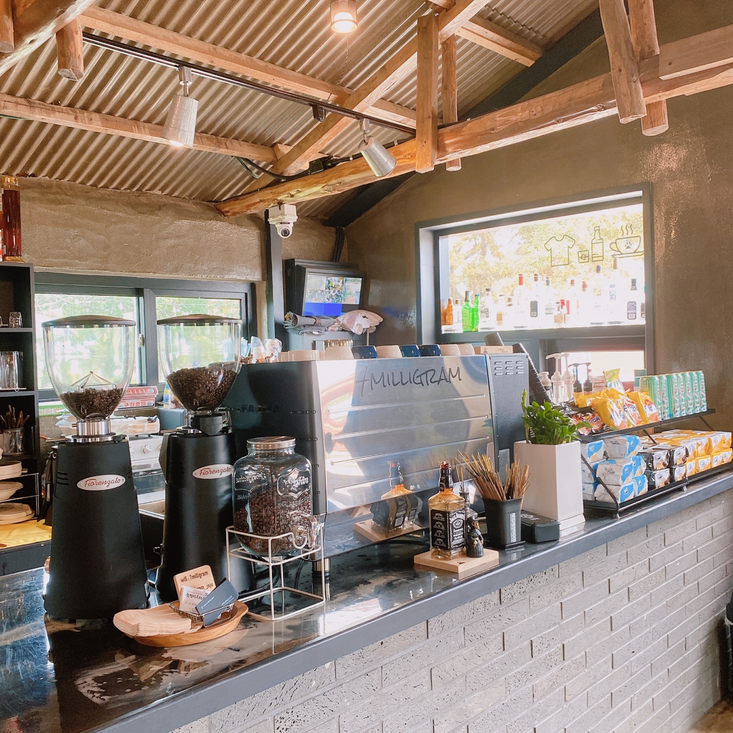 제주 한림 우리들의블루스 7밀리그램