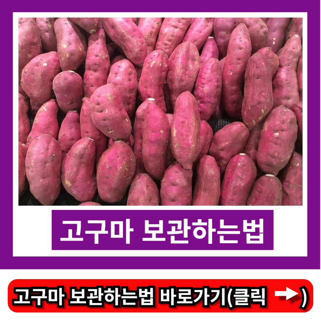 고구마 보관하는법