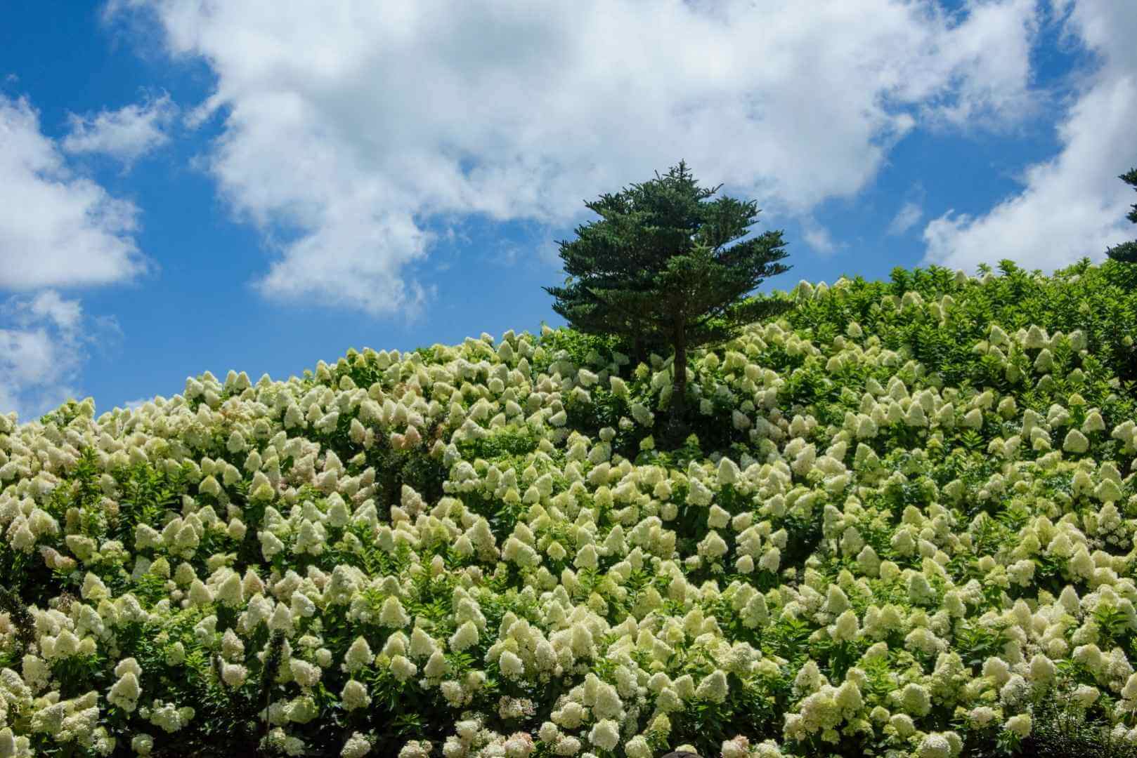 제주동화마을 가는 방법 – 아이와 함께 떠나는 4계절 힐링 여행