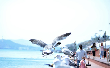 호남선-ktx열차시간표