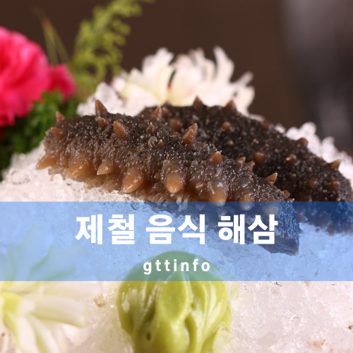 해삼의 효능