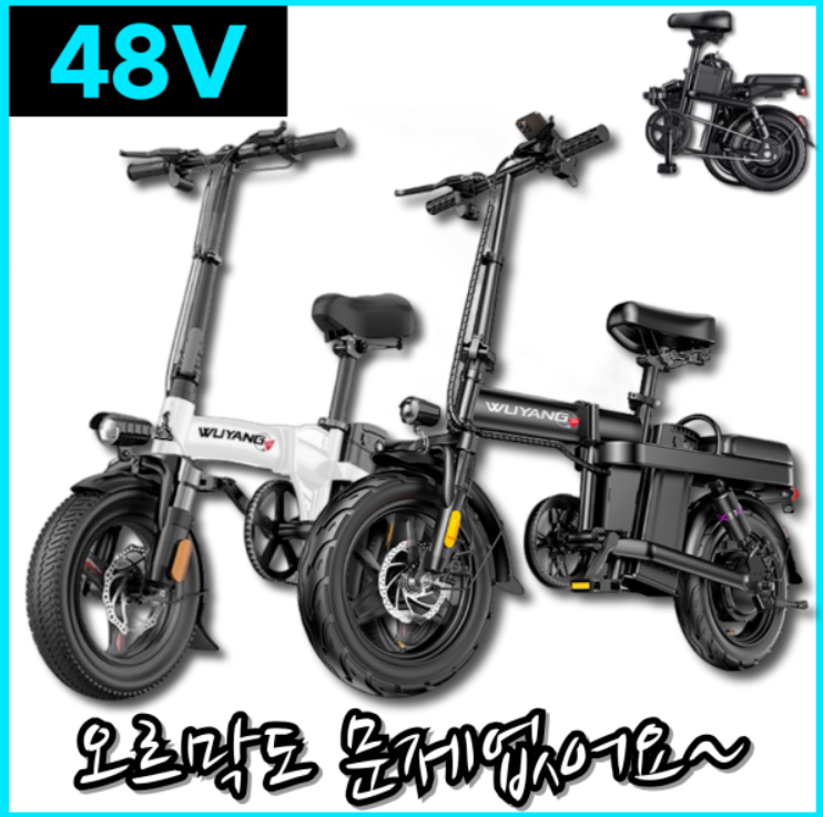 전기자전거 추천 순위 TOP 5(25년 6월) - 네이버, 쿠팡, G마켓 판매 랭킹 분석