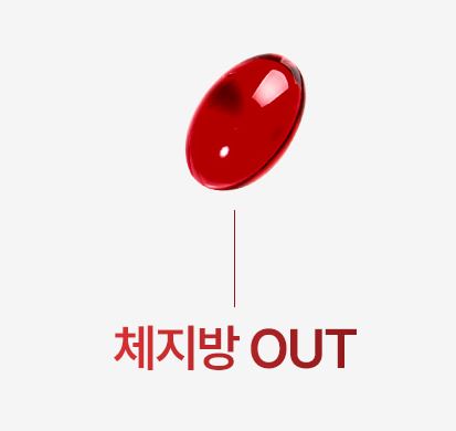 CLA-다이어트-푸응-팻버닝