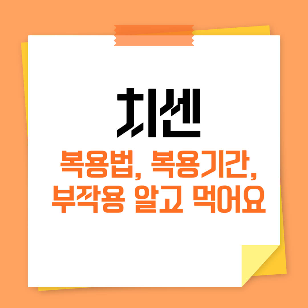 치센 효능