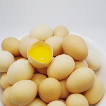 백봉농장 오골계 초란 유정란