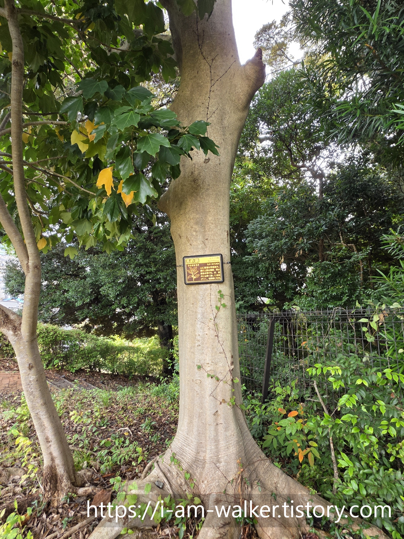 일본여행&amp;#44; 시즈오카여행&amp;#44; 아침산책&amp;#44; 항만도시&amp;#44; 아키바사공원&amp;#44; 일본자연&amp;#44; 도심산책&amp;#44; 시즈오카항전망&amp;#44; 힐링여행&amp;#44; 여행코스.