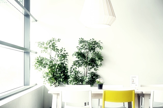 국민기초생활수급자증명서