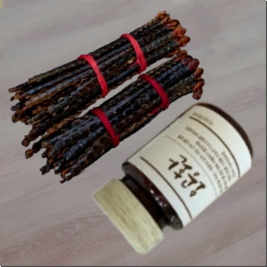 지네 효능 및 활성 성분 사용법과 주의점