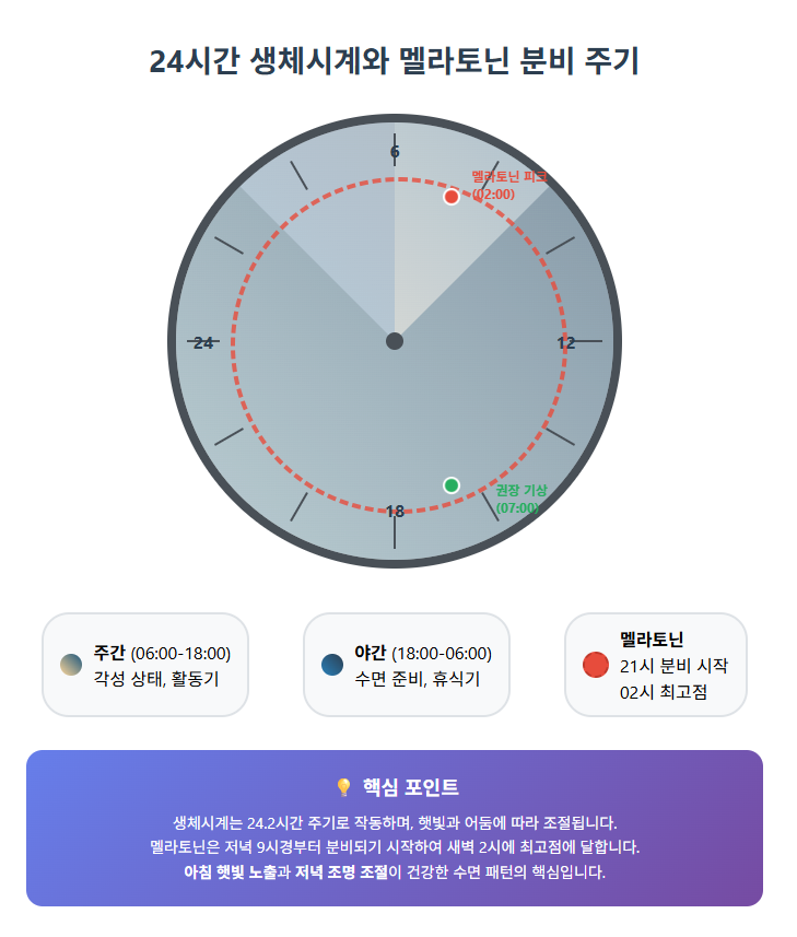 밤낮 바뀐 생활패턴 복구하기, 16시간만 굶으면 하루 만에 리셋된다