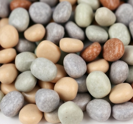 옥돌자갈한과그림