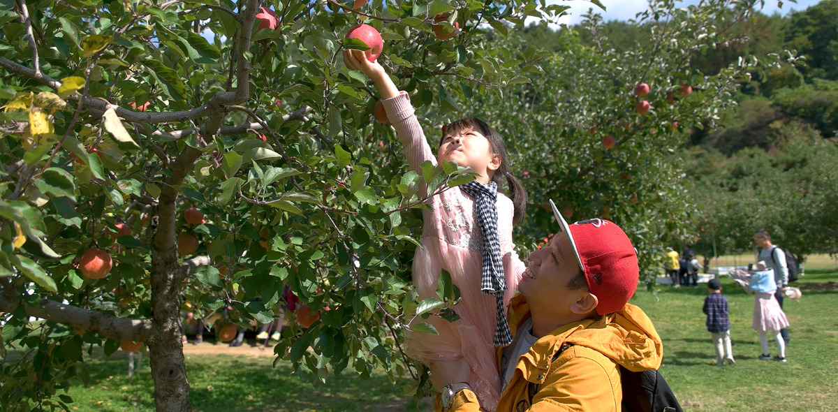 2024 문경 사과축제 기본일정과 프로그램 소개 이찬원 박서진 전유진 황윤성 출연