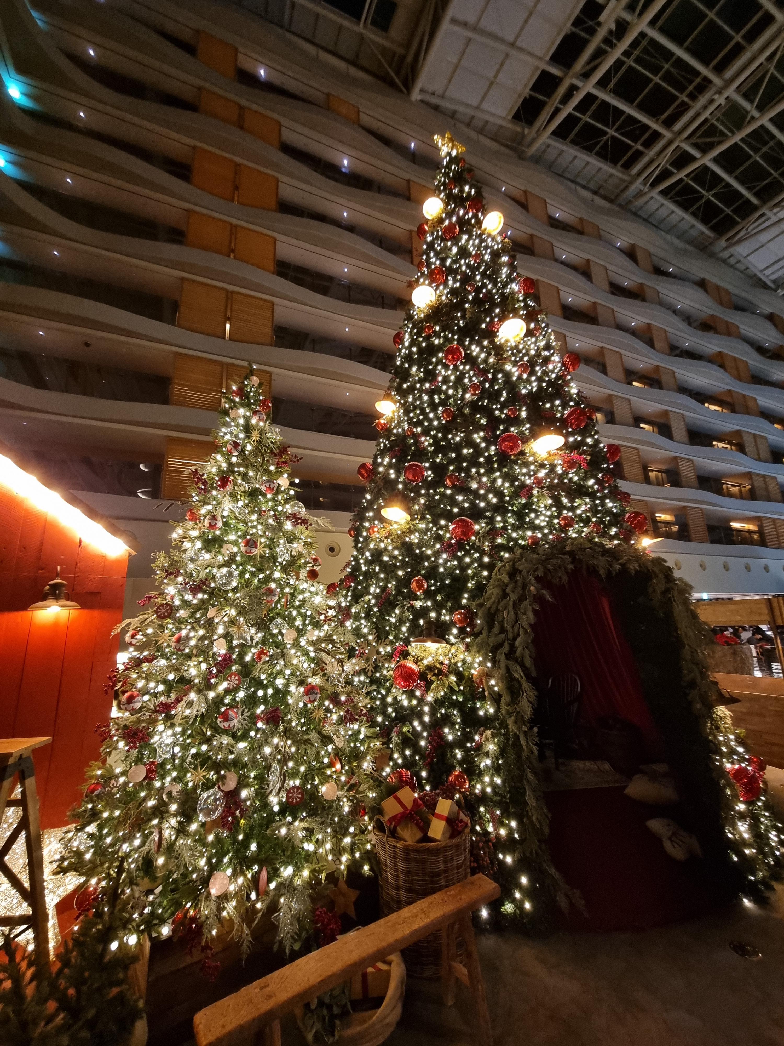 제주 해비치호텔의 크리스마스 트리