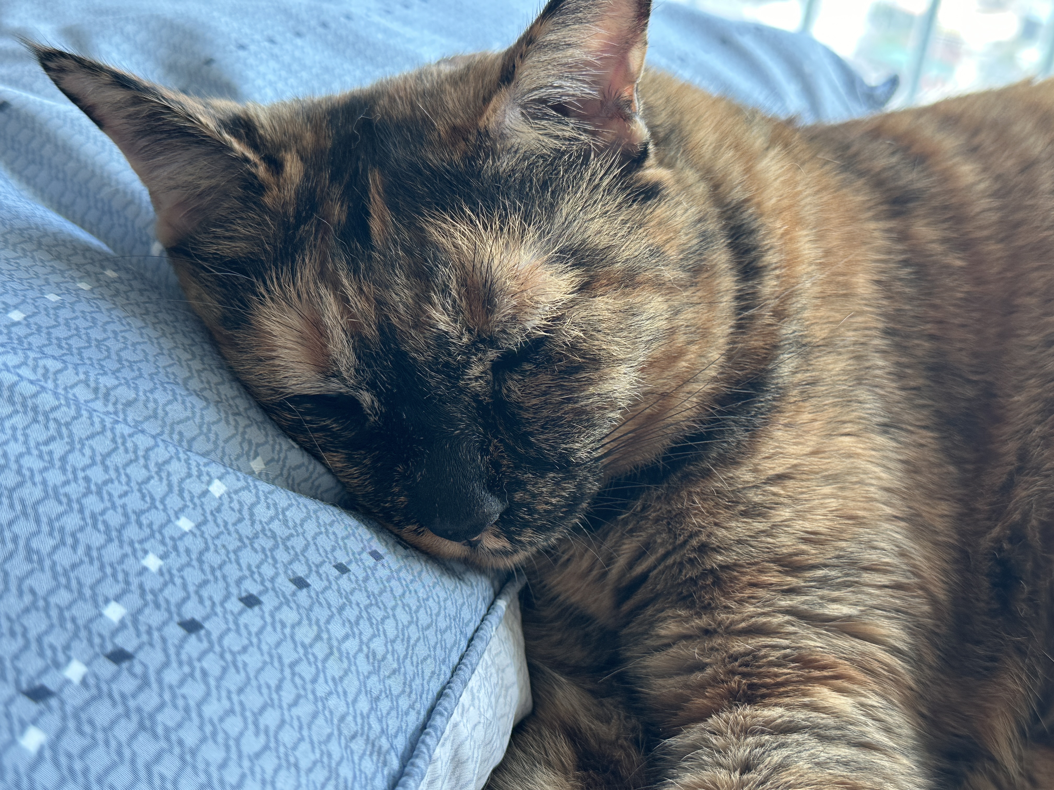 눈_꼭_감고_자는_사랑이