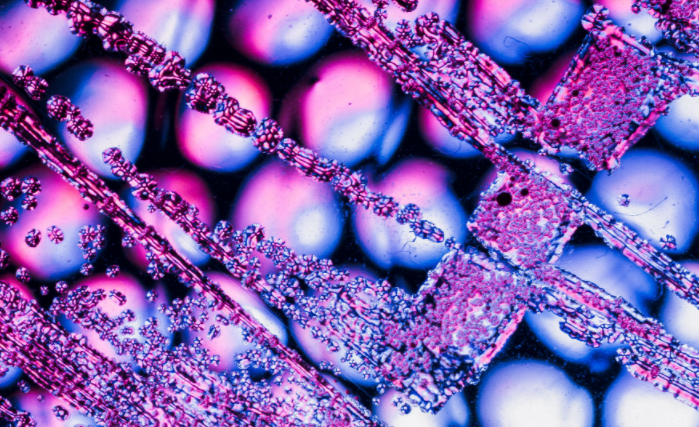 프로바이오틱스 추천