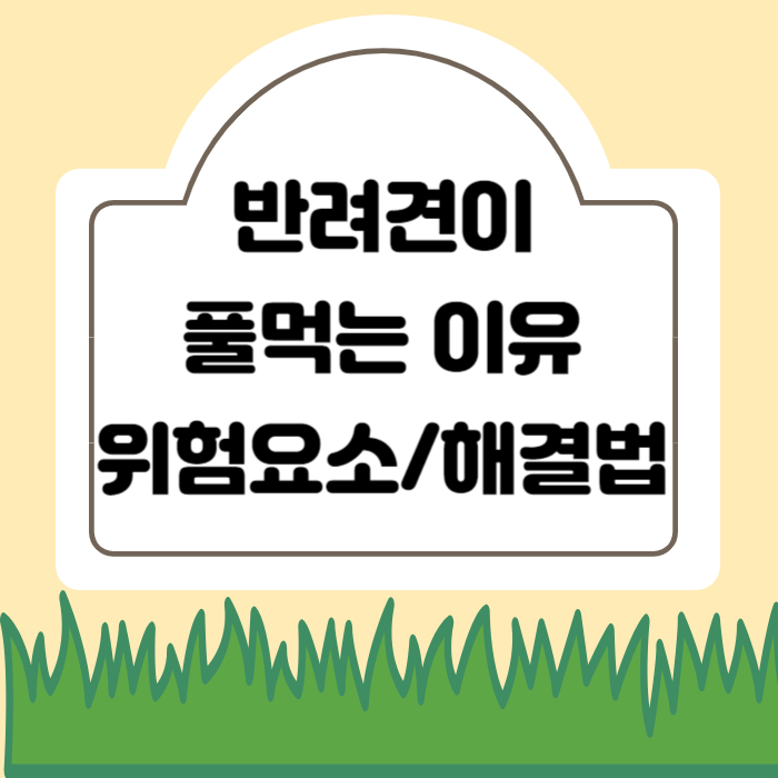 강아지가 풀 먹는 이유- 위험요소-해결방안