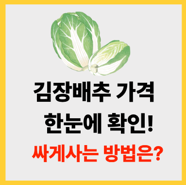 2025년 김장 배추 가격 한눈에 확인 &amp; 싸게 사는 노하우 총정리
