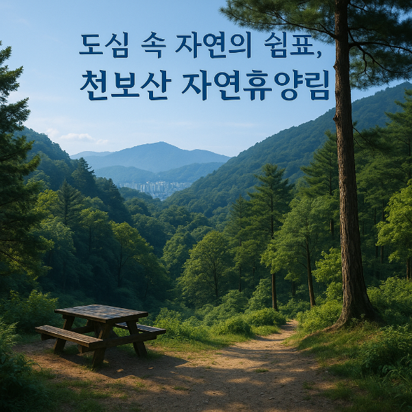 천보산 자연휴양림｜도심 가까운 힐링 명소