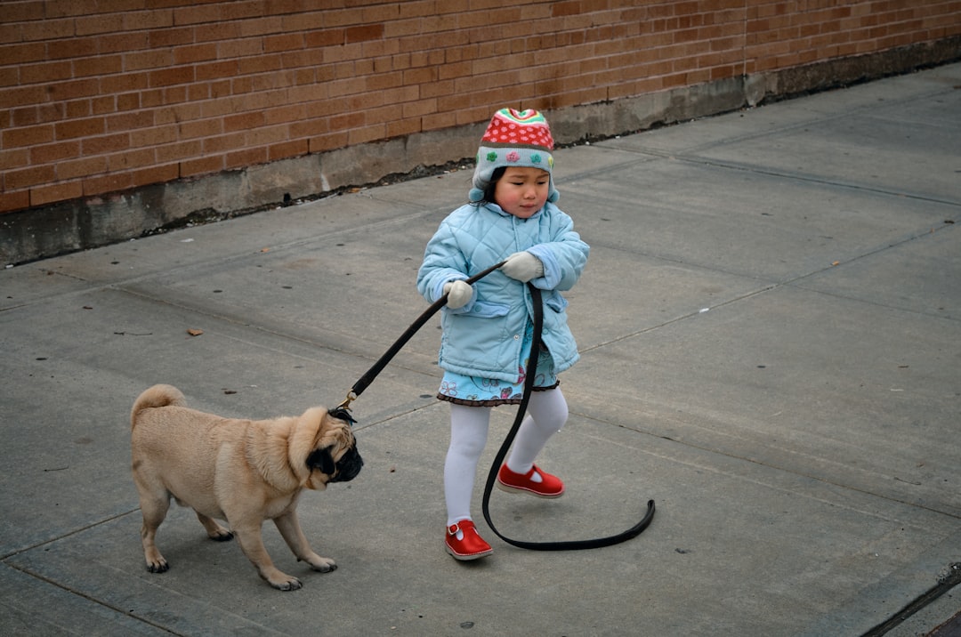 Leash
