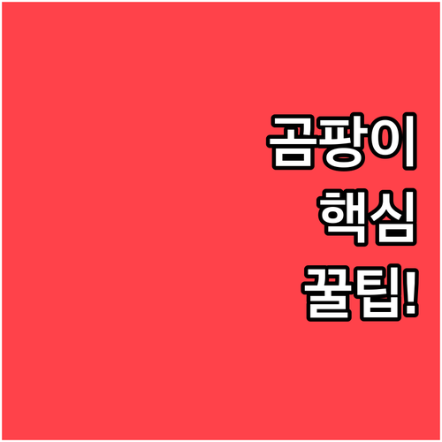 화학 성분 없이 집안 곰팡이 예방하는..