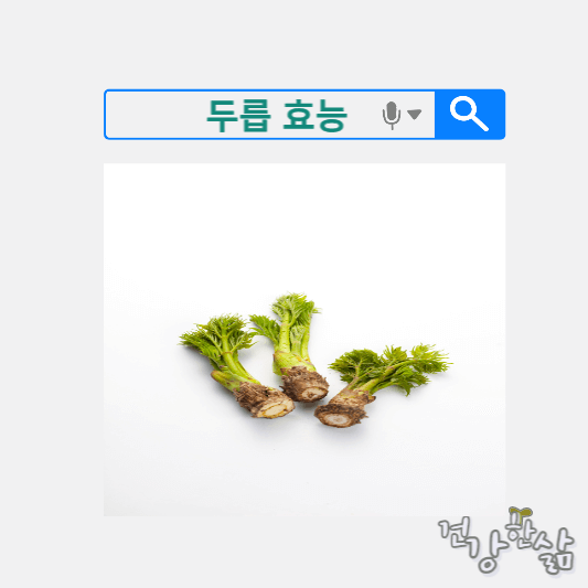 두릅 효능