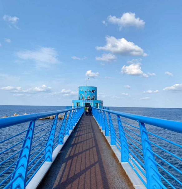 울릉도,독도여행