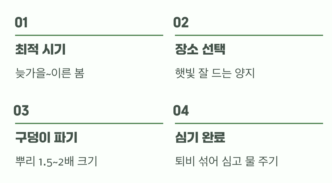 첫 만남&amp;#44; 성공적인 묘목 심기
